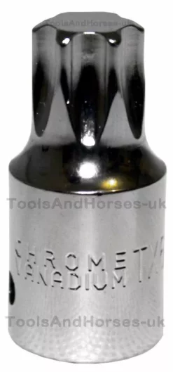 BlueSpot Torx Star Socket Set 12pc 1/4" & 3/8" Drive Torx Socket Tool Set T10 - T60 Torks -SOCKET SETS & EXTENSION BARS Sales 39ba3e10 e7db 40cc 9c47 ff6cdcc71c66